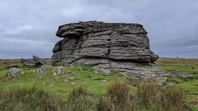 Hunting for Kitty in Tiger Marsh - Dartmoor 365