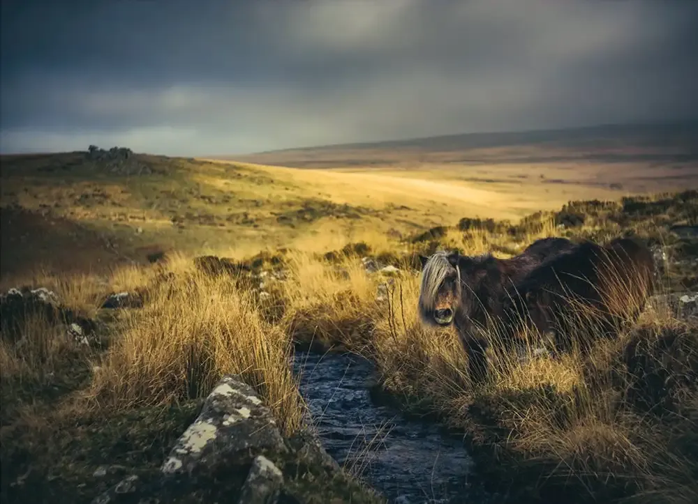 George Wall - The Dartmoor Podcast