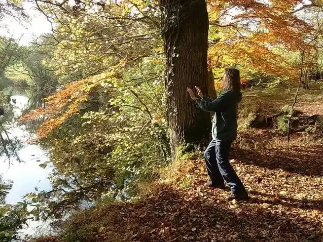 Twilight Tai Chi, Nature and Mindfulness Walk