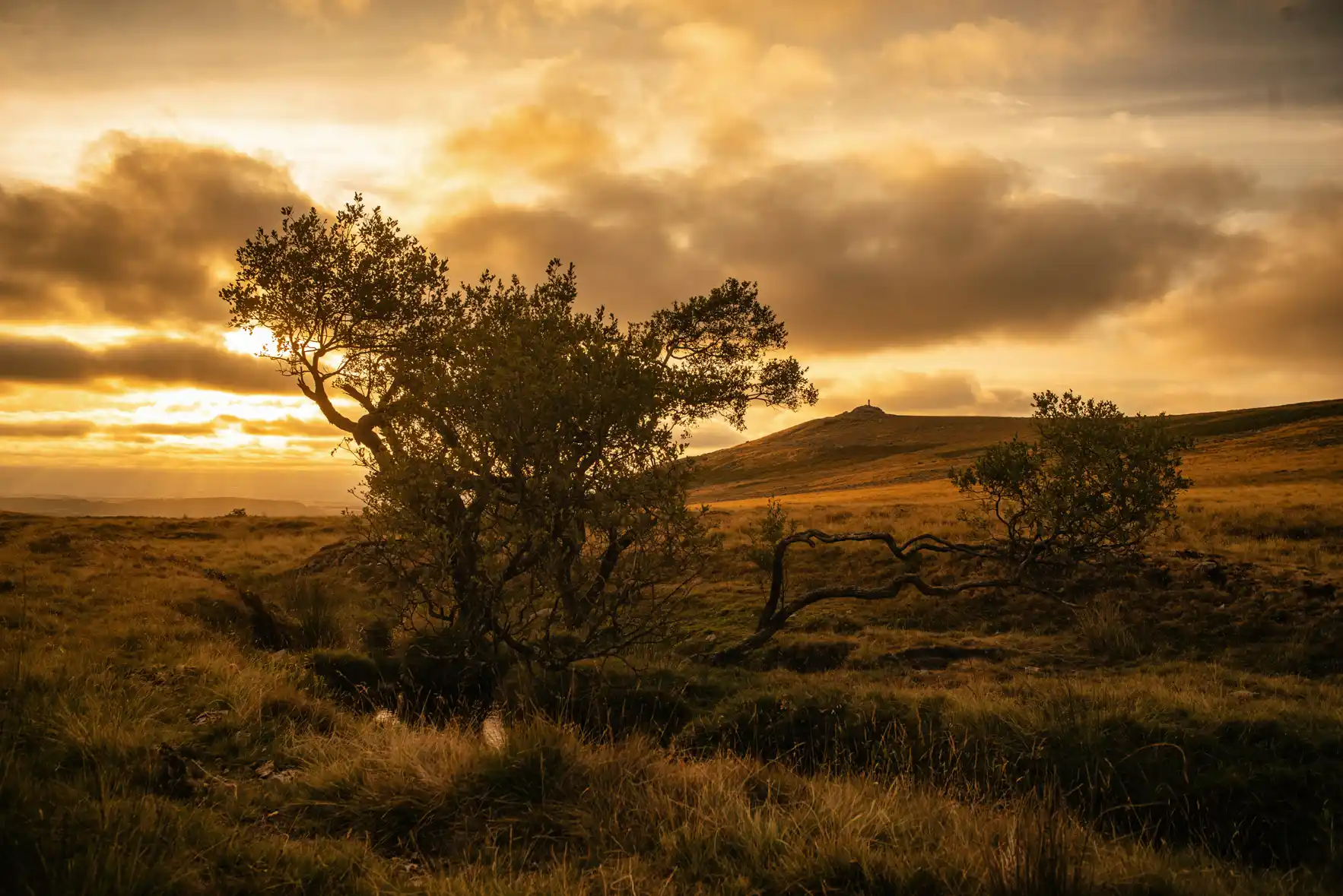 Sunset over Doetor Brook - Willow and Brat Tor - Glavind Strachan Photography