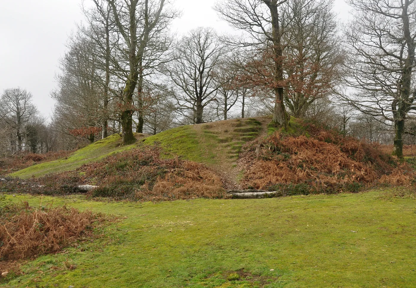 Hillforts & Earthworks
