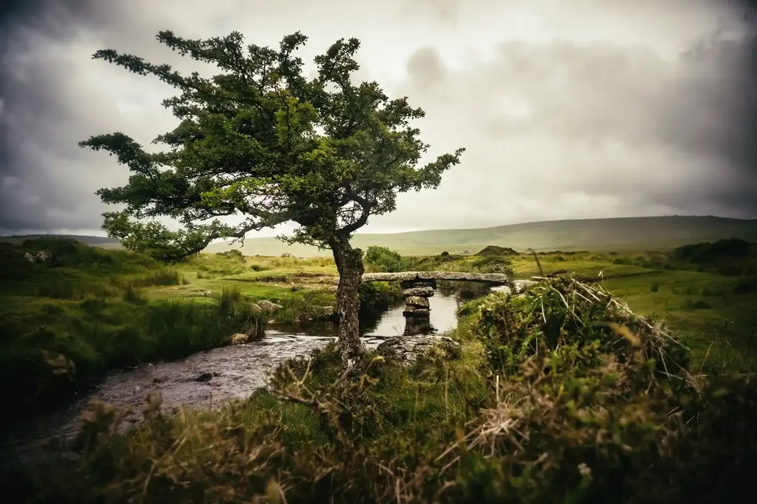 Clapper bridge at Gidleigh Common