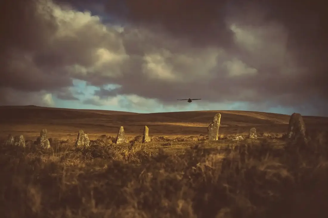 Crow at scorhill stone circle