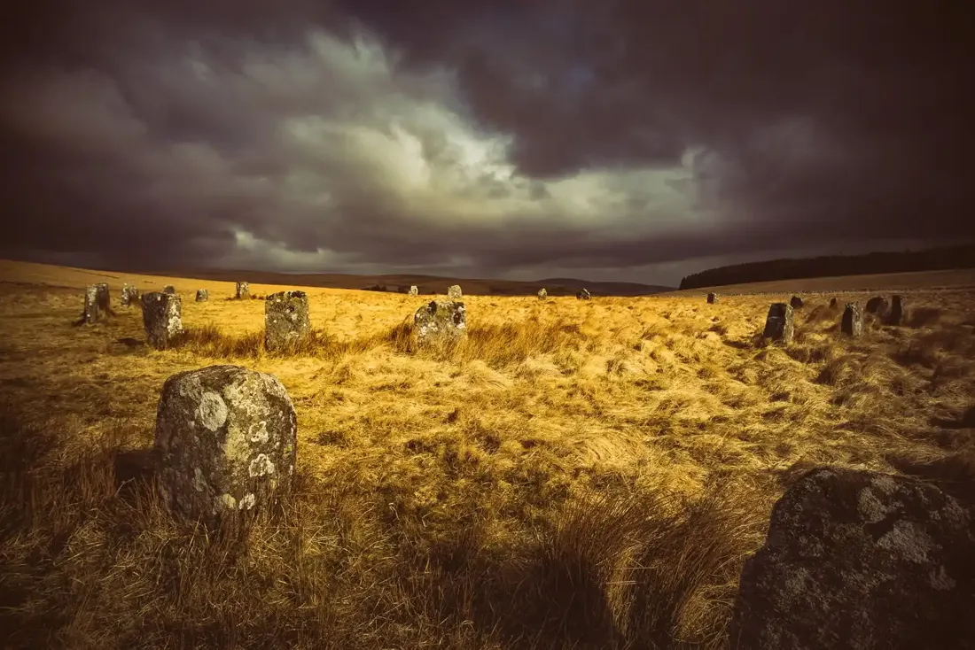 Grey wethers