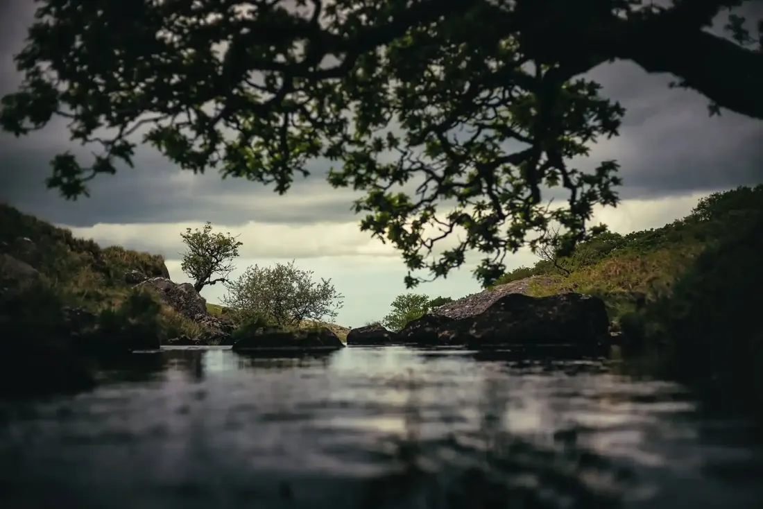 In the West Okement River