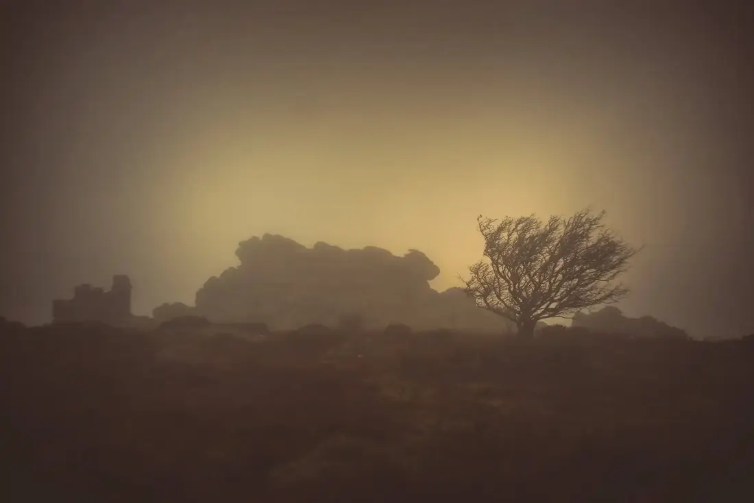 Moody Hound Tor