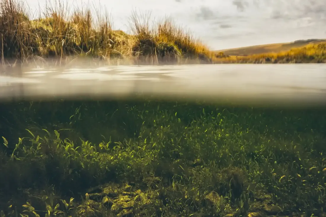 Under The River Taw