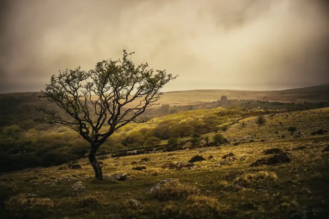 Vixen tor in the background