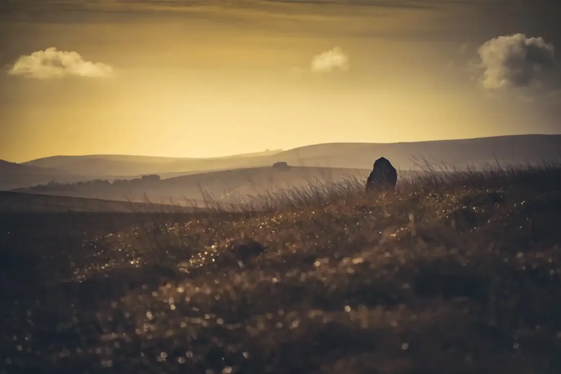 White moor menhir