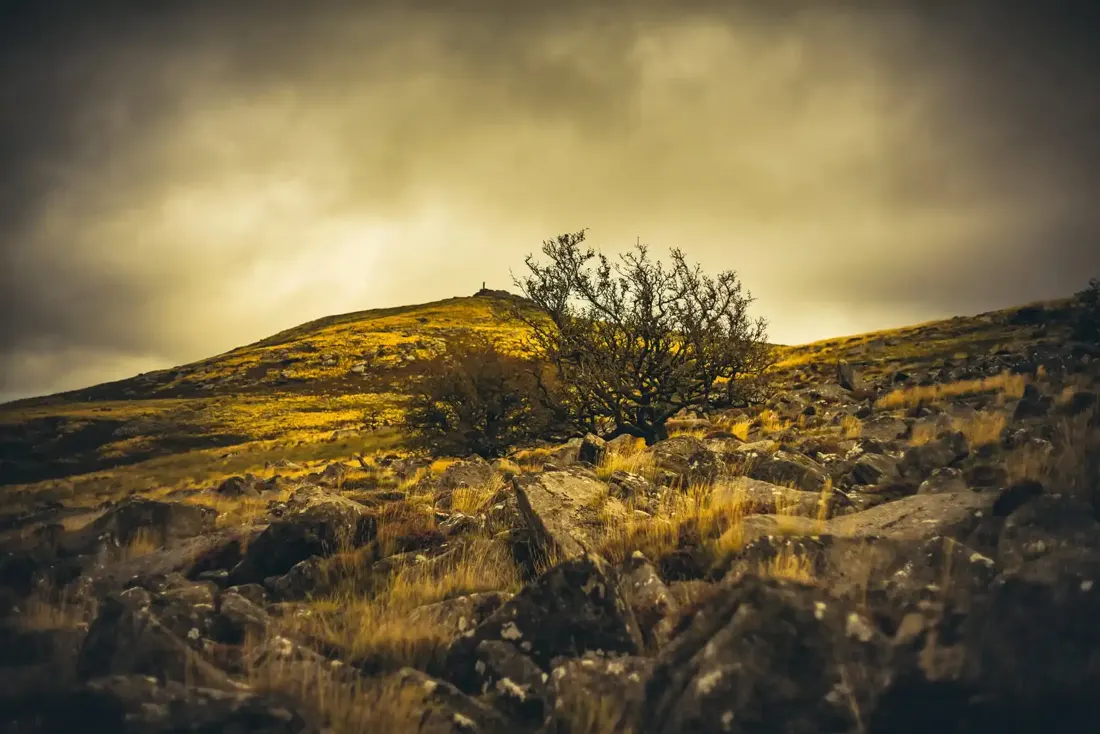 Widgery Cross from the edge of Doe Tor