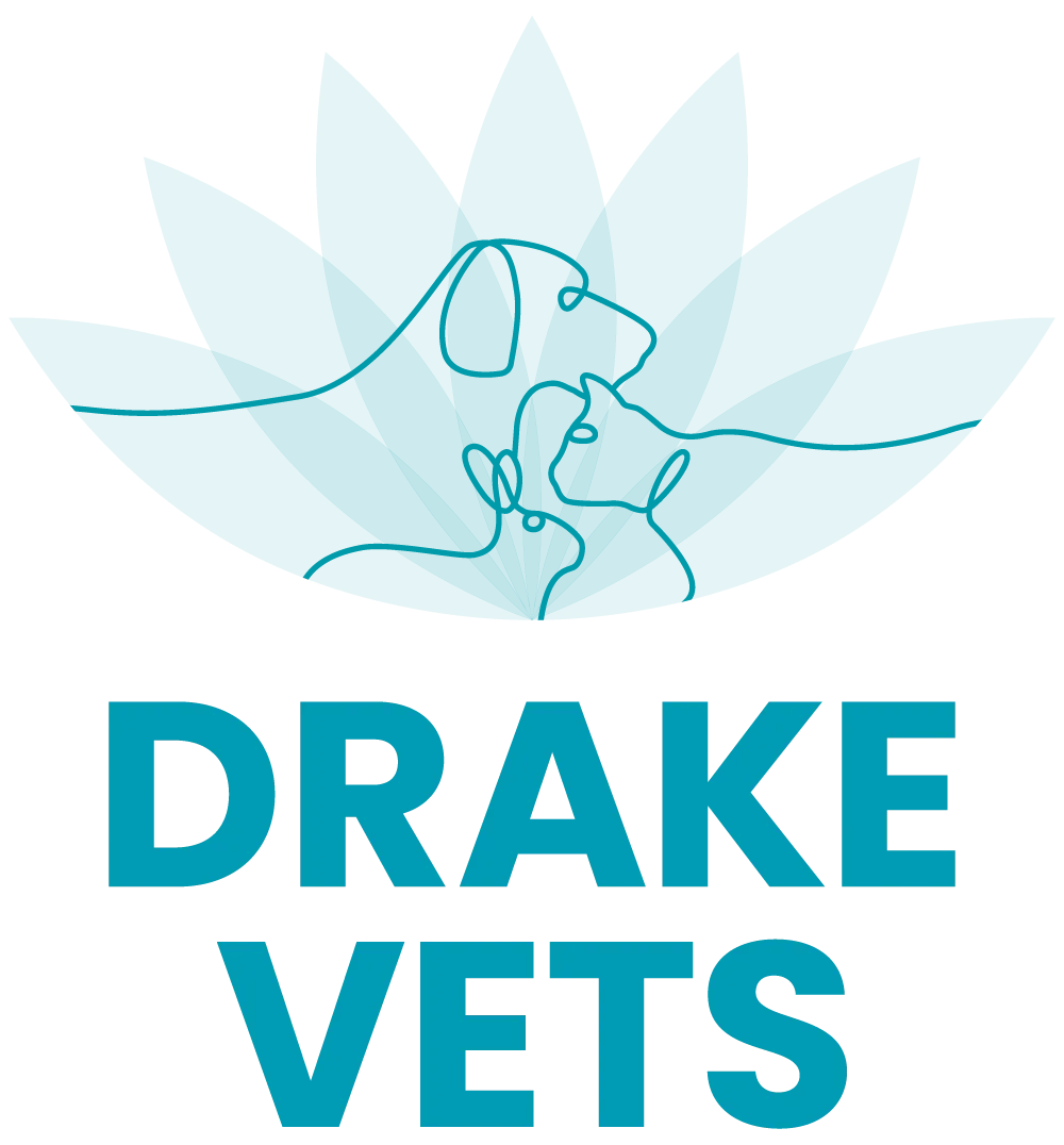 Drake Vets Tavistock
