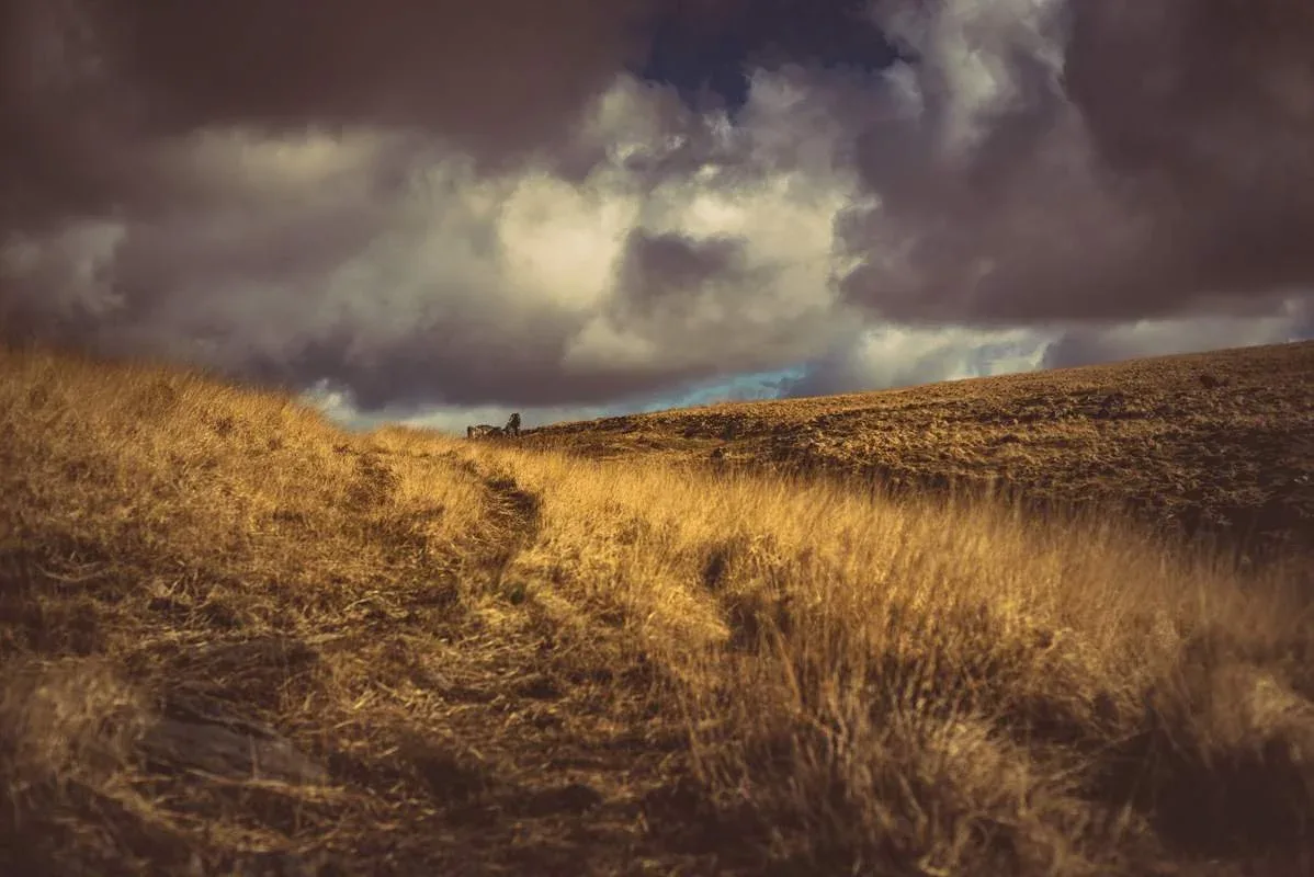 Bleak House (Ruin)