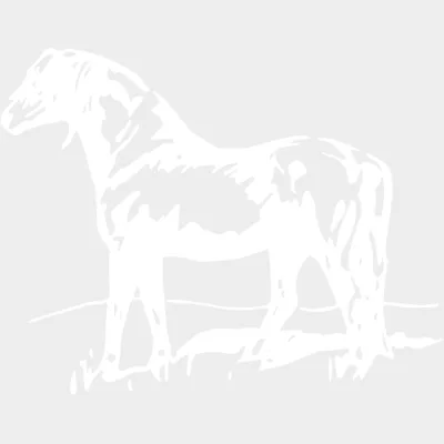 Dartmoor Pony Society
