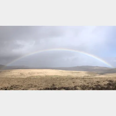 Dartmoor Therapy