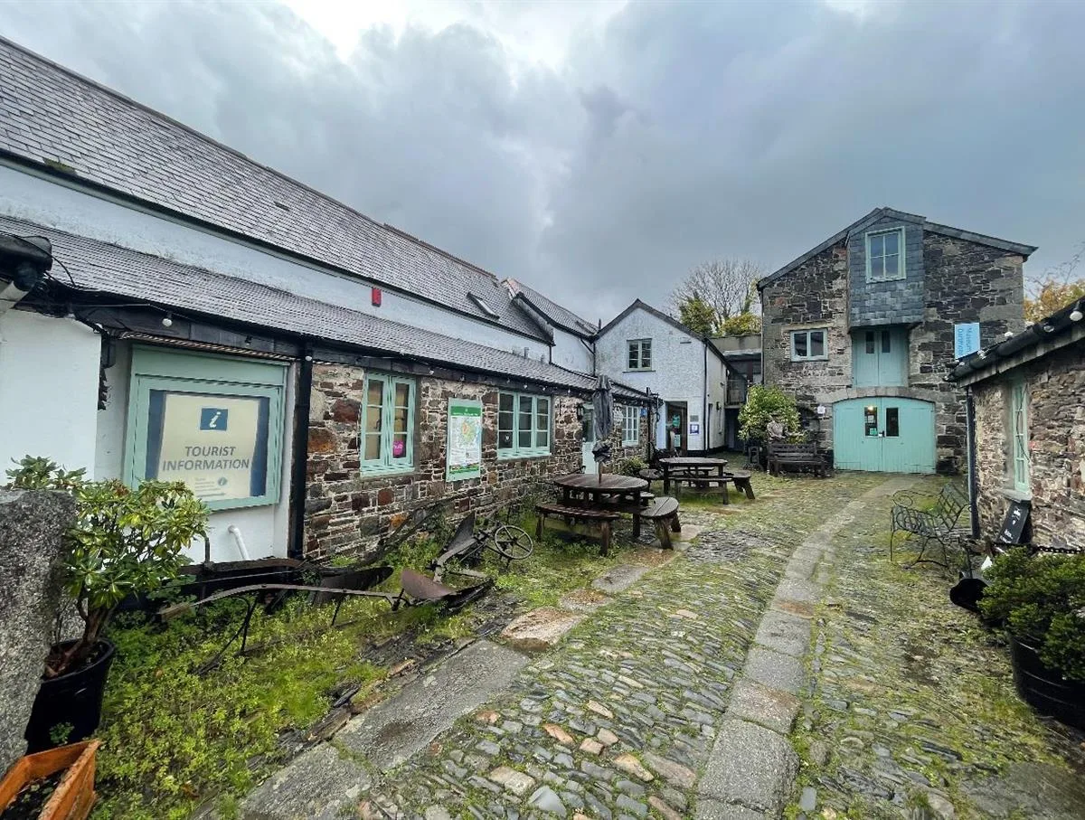 The Dartmoor Herbalist