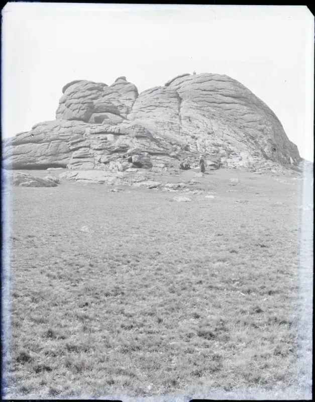 The Dartmoor Trust