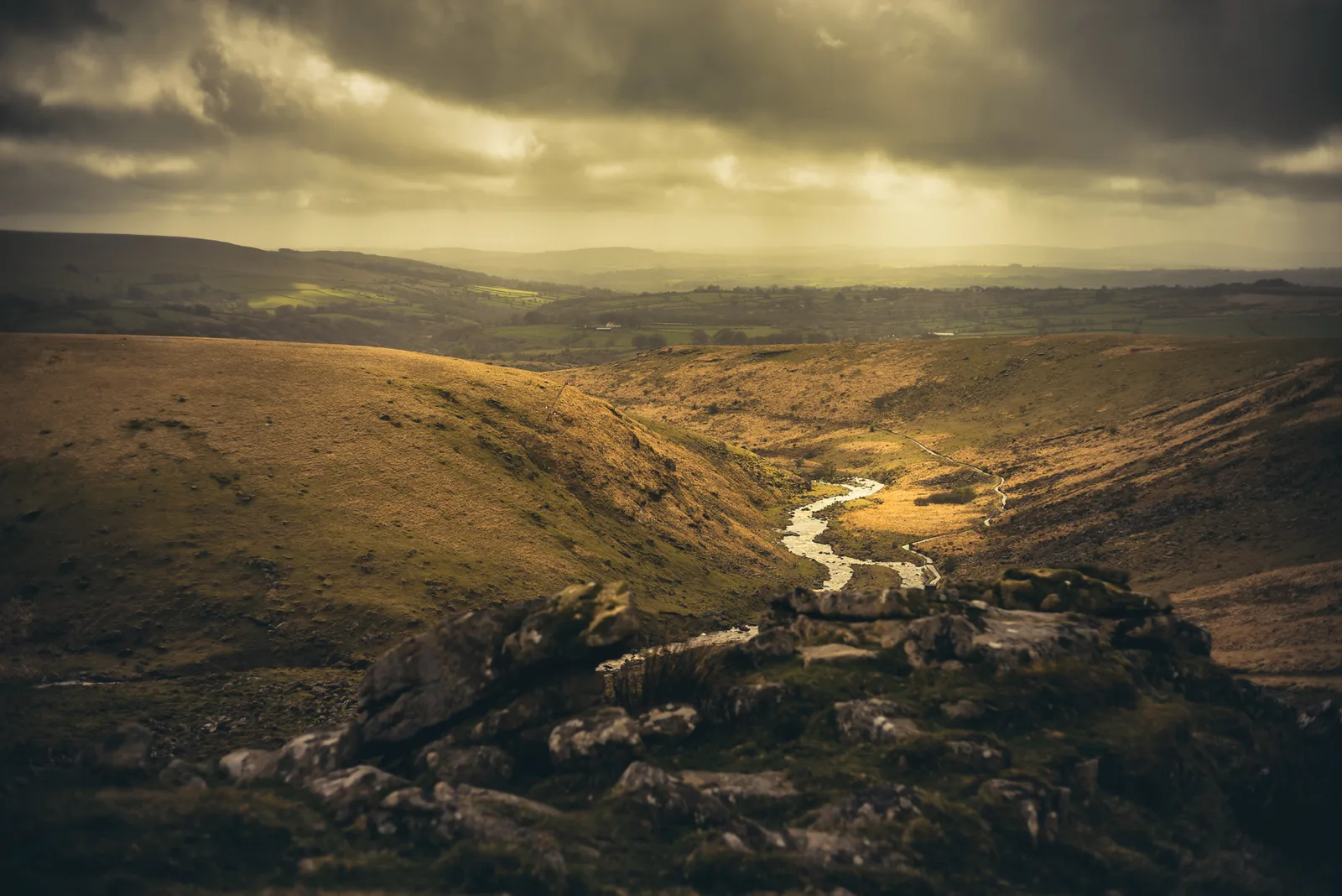 Tavy Cleave