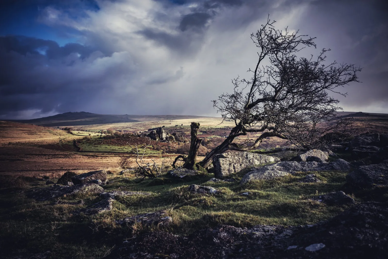 Vixen Tor