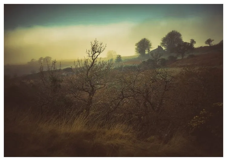 Halstock Hill