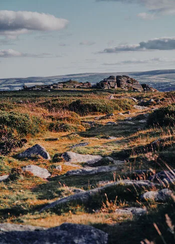 Moorland Guides