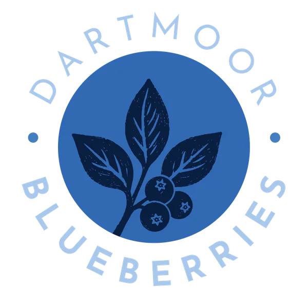 Dartmoor Blueberries