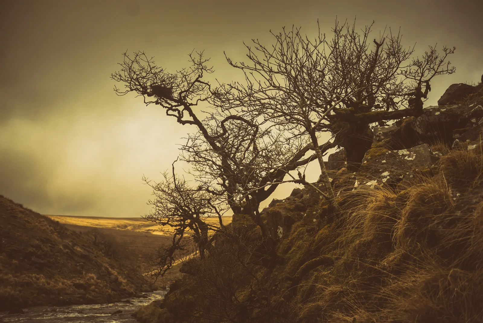 Amicombe Brook