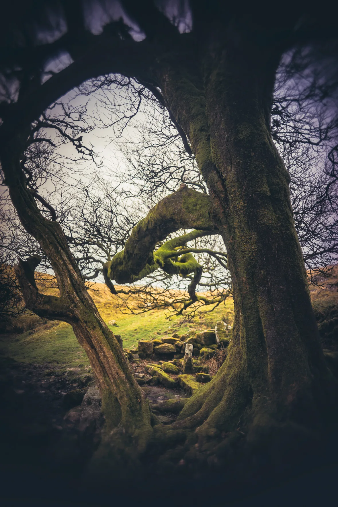 Old Farm (ruins)