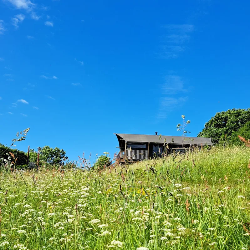 Brackenhill Glamping