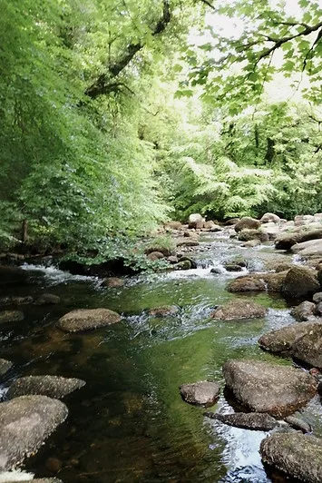 Badger's Holt