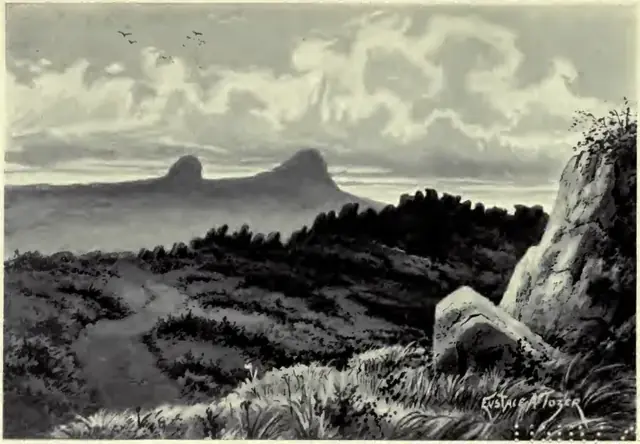 A Book of Dartmoor, page 231