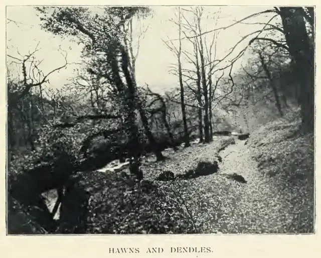 A Hundred Years on Dartmoor, page 95