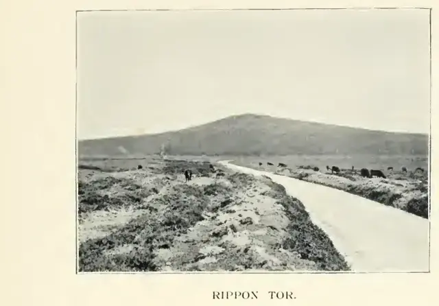 A Hundred Years on Dartmoor, page 105