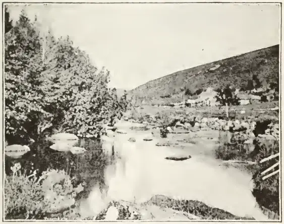 Amid Devonia's Alps, page 25
