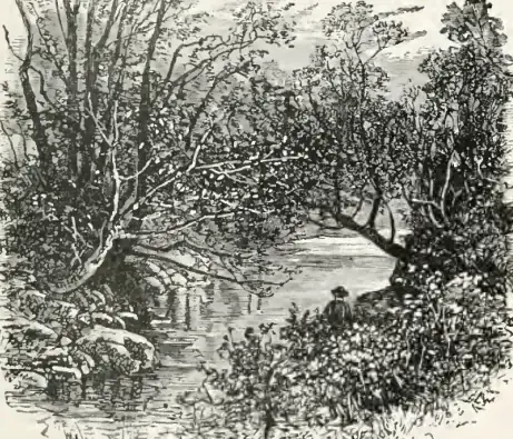 Amid Devonia's Alps, page 151