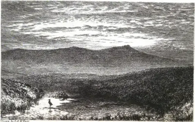 An Exploration of Dartmoor and Its Antiquities, page 11