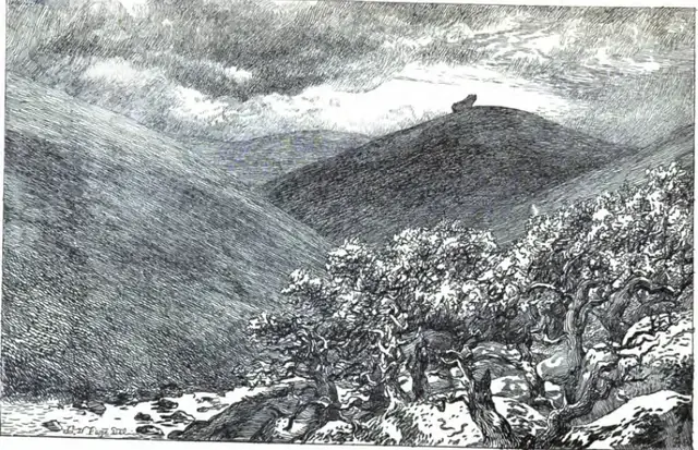 An Exploration of Dartmoor and Its Antiquities, page 206