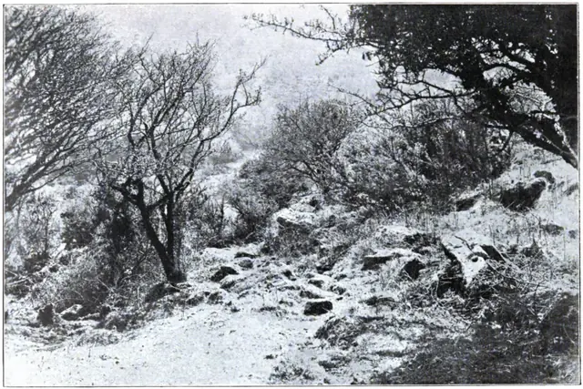 Dartmoor Illustrated, page 154