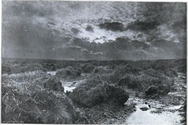 Dartmoor Illustrated, page 224