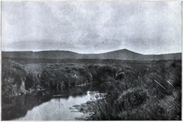 Dartmoor Illustrated, page 236