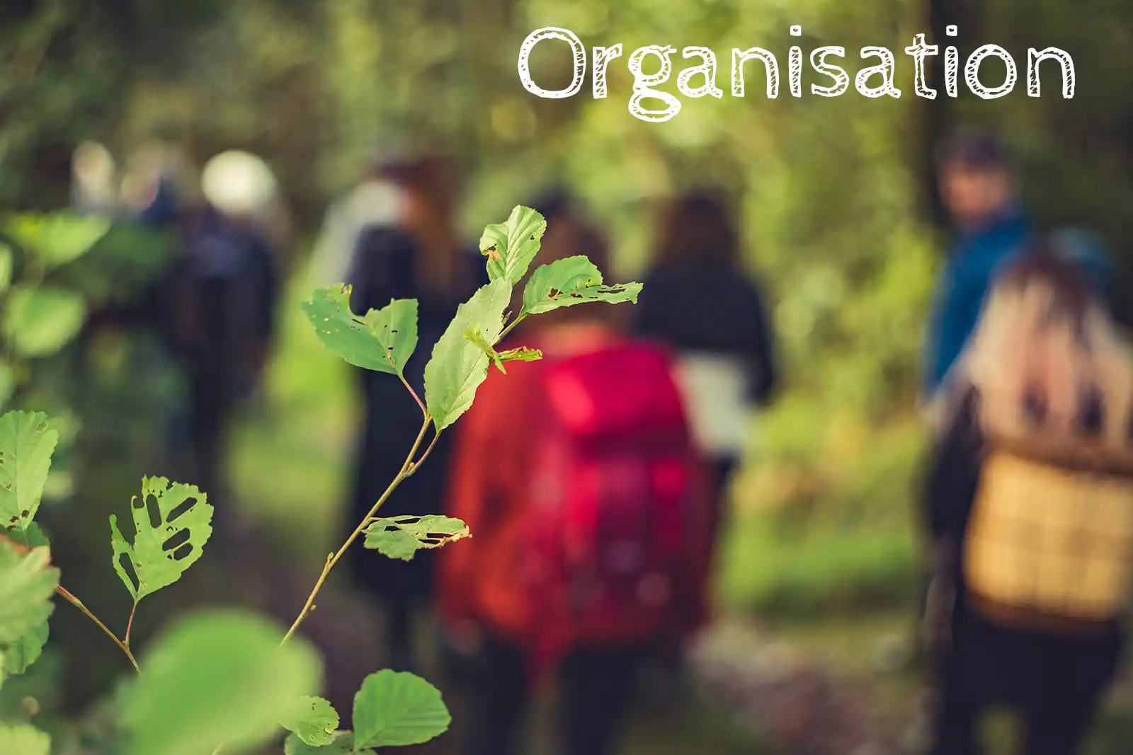 The Dartmoor Trust