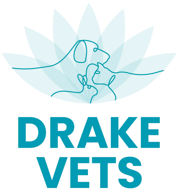 Drake Vets Yelverton