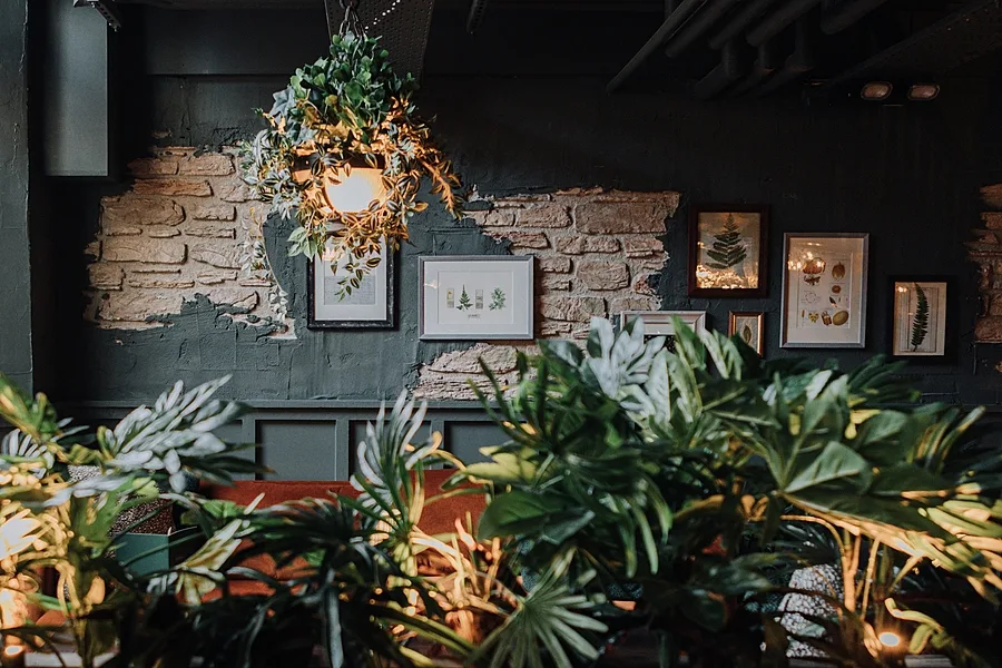 The Botanist