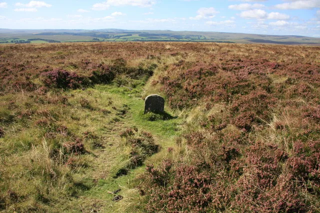 Single Barrow