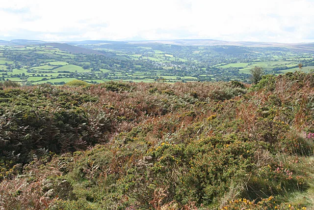 Cranbrook Hill Fort