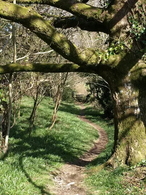 Woodland Trust Founder