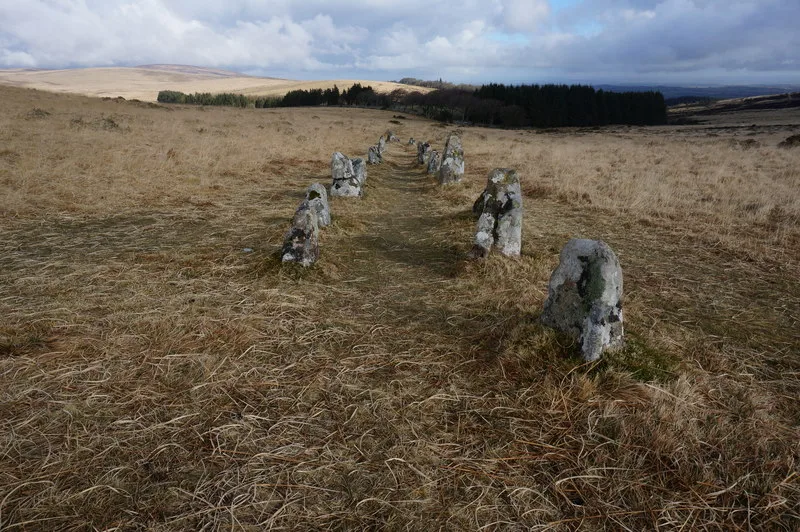 Stone Rows