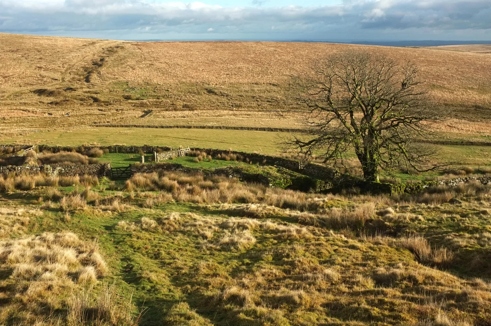 Pillow Mounds (Warrens)