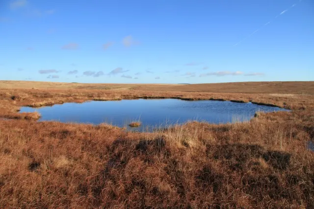 Sea Vixen crash site, Flat Tor Pan