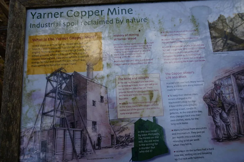 Yarrow Copper Mine