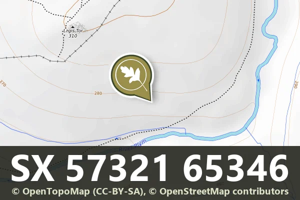 Legis Tor Warren